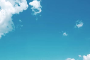 <em>微</em><em>课</em>：园林工程<em>技术</em><em>专业</em>《园林植物造景—植物造景》