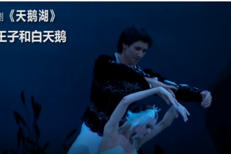 芭蕾舞剧《天鹅湖—曲2王子和白天鹅》
