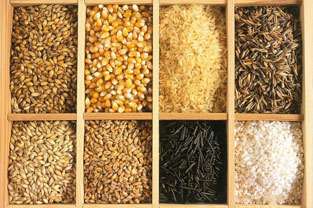 食品质量<em>与</em>安全<em>专业</em>：《食品添加剂—新时代兵团食品人对食品添加剂的思考》<em>课程</em><em>思</em><em>政</em><em>课堂教学</em><em>设计</em>