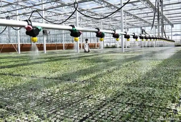 现代农业技术<em>专业</em>：《农作物栽培技术—无土栽培技术中的生态责任<em>与</em>创新<em>担当</em>》<em>课程</em><em>思</em>政教学<em>案例</em>