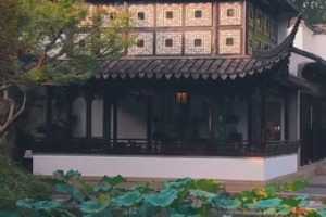 园林秋色！苏州<em>留</em><em>园</em>秋风拂桂古韵悠然