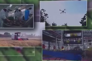 我国现代农业产业园总产值<em>超</em>3<em>万亿</em>元