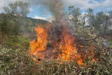 林业<em>技术</em><em>专业</em>：《森林<em>防火</em>—森林<em>火灾</em>成因<em>与</em><em>预防</em>措施》<em>课程</em><em>思</em><em>政</em><em>课堂教学</em><em>设计</em>