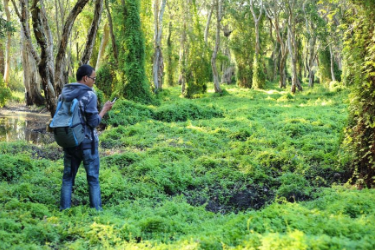 <em>林业</em><em>技术</em><em>专业</em>：《<em>森林</em>资产评估—<em>森林资源</em>价值评估与<em>生态</em>文明建设<em>的</em>融合实践》<em>课程</em><em>思</em><em>政</em><em>课堂教学</em><em>设计</em>