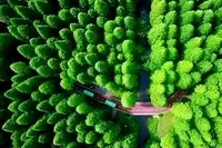 <em>课程标准</em>：<em>林业</em><em>技术</em><em>专业</em>《<em>林业</em>3S<em>技术</em>》<em>课程标准</em>