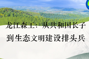 <em>微</em><em>课</em>：《龙江森工》