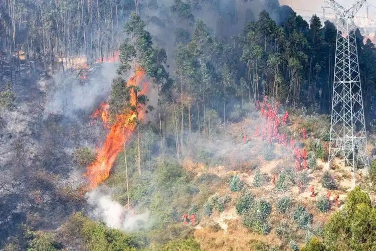 <em>森林草原</em><em>防火</em><em>技术</em><em>专业</em>《林火管理》<em>课程</em><em>思</em><em>政</em><em>课堂教学</em><em>设计</em>