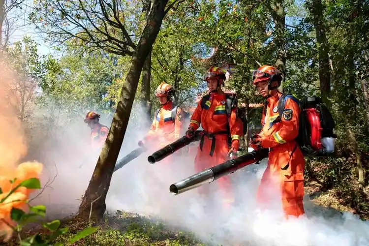 森林草原防火技术<em>专业</em>：《风力灭火技术》<em>课程</em><em>思</em>政教学<em>案例</em>