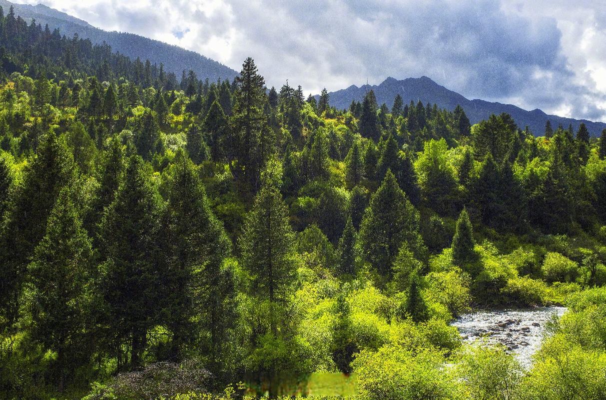 <em>森林草原</em><em>防火</em><em>技术</em><em>专业</em> ：《林学概论》<em>课程</em><em>思</em>政<em>案例</em>