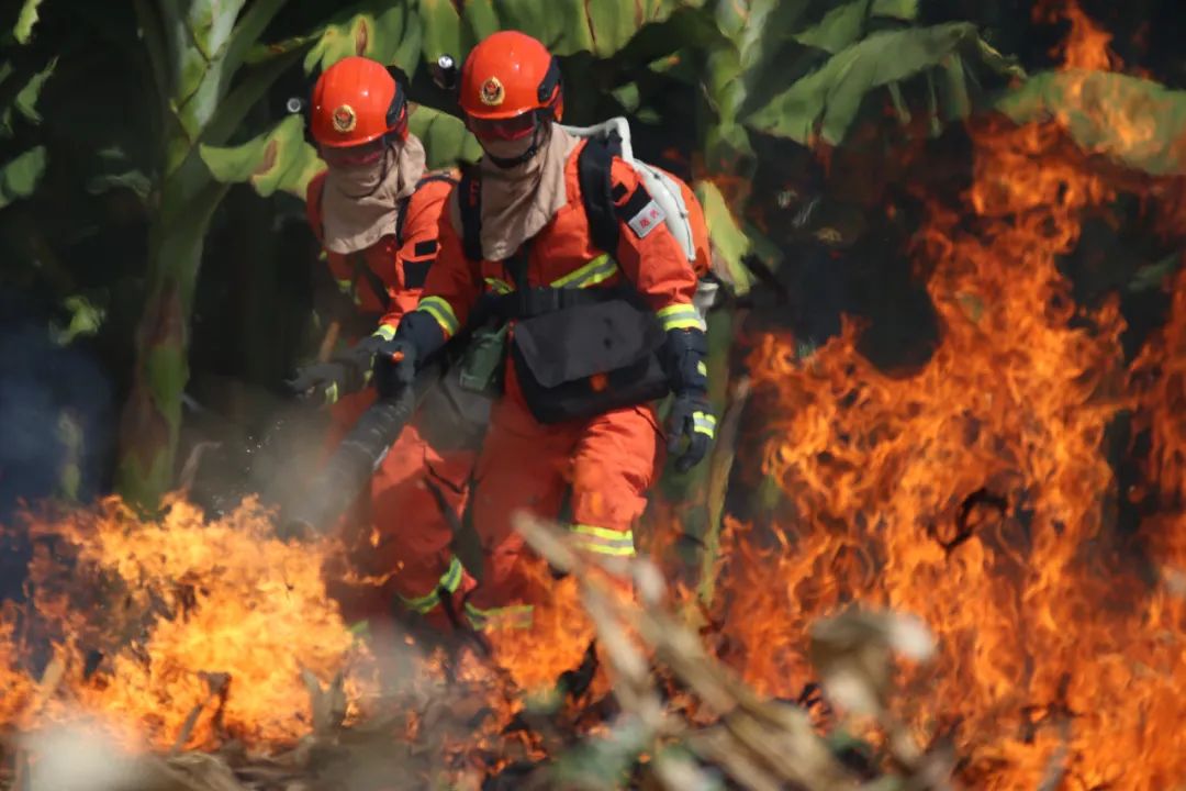 <em>森林草原</em><em>防火</em><em>技术</em><em>专业</em>：《林草<em>防火</em>—<em>森林草原</em>火灾的应急处置<em>与</em>灾后修复》<em>课程</em><em>思</em><em>政</em><em>课堂教学</em><em>设计</em>