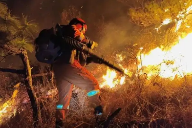 <em>课件</em>：<em>森林草原</em><em>防火</em><em>技术</em><em>专业</em>《<em>森林</em>火灾扑救组织<em>与</em>指挥》