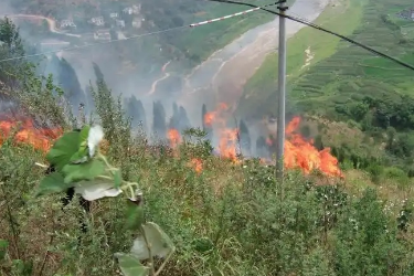 <em>森林草原</em><em>防火</em><em>技术</em><em>专业</em>《林火通讯》<em>课程</em><em>思</em><em>政</em><em>课堂教学</em><em>设计</em>