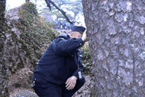 不一样的你：守松人胡晓春13年守护黄山<em>迎客</em>松