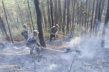 倒在离家一公里的地方，向导冯才勇带领宁南<em>扑火</em>队上山牺牲