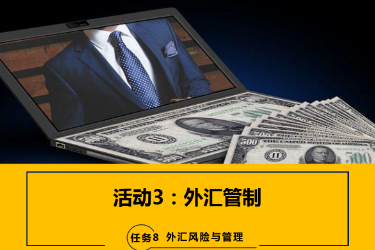 <em>课件</em>：国际<em>金融</em>、<em>金融</em>服务与管理、国际经济与贸易<em>专业</em>《国际<em>金融</em>—-8.2外汇管制》