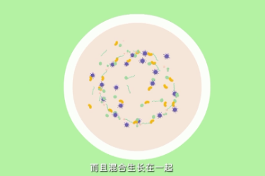 <em>微</em><em>课</em>：<em>食品</em><em>检验</em><em>检测</em><em>技术</em><em>专业</em>《细菌<em>的</em>平板划线分离》