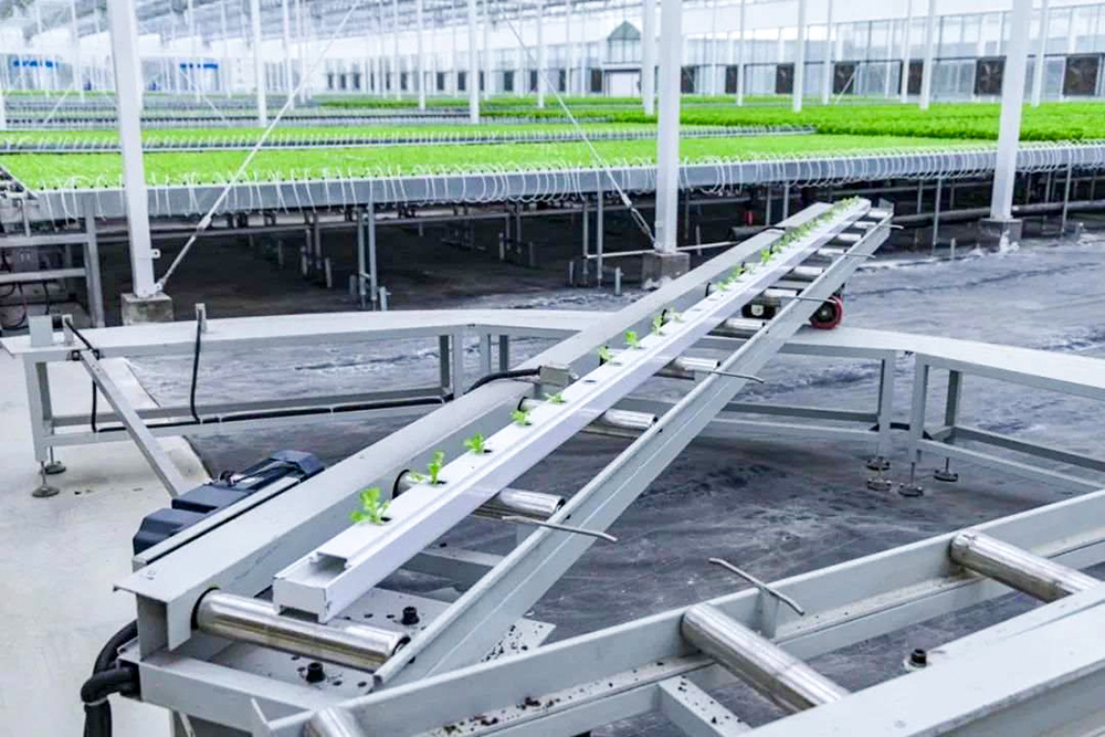 <em>浙江</em><em>嘉兴</em>：“<em>AI+</em><em>智慧</em><em>农业</em>”<em>激活</em><em>现代农业</em><em>发展</em><em>新</em><em>引擎</em>4