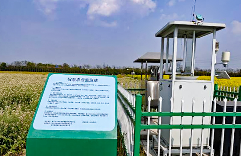 浙江嘉兴：“AI+智慧农业”激活现代农业发展新引擎1