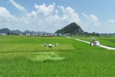 贵安新区龙宝村：无人机织就智慧防虫<em>网</em> 科技护航稻田丰收路