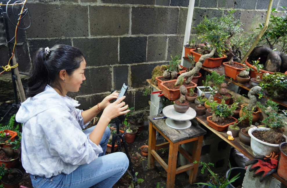 “<em>90</em><em>后</em>”巾帼<em>新</em><em>农人</em>樊富芝：带领乡亲们走“花路”