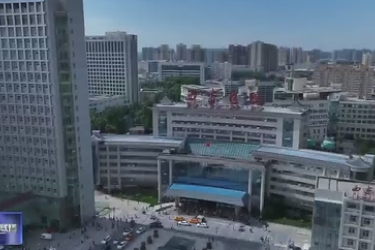 陕西省实施亚洲<em>首例</em><em>基因</em><em>编辑</em>猪—终末期肾病患者异种肾移植
