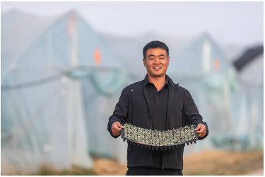 “新农人”李佳伟：“90后”乡村振兴合伙人的育苗经