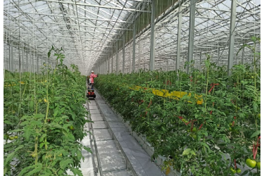 山东潍坊寿光市：<em>智能</em>化大棚为现代农业注入澎湃新动能