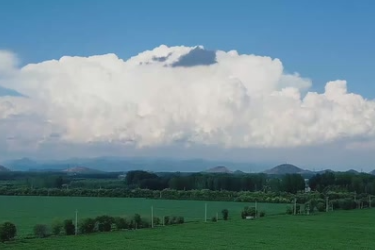 北京<em>新</em><em>农人</em>刘福娟：科技大棚<em>的</em>“<em>育苗</em>女王”