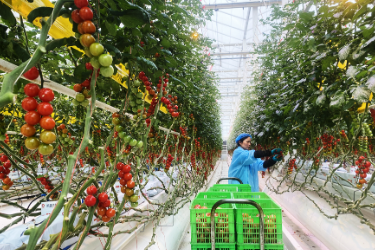 智慧农业让春耕春管降本又增效