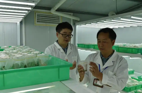 宋光龙植保工匠室：绿水青山的守护者，植保工匠精神的传承者