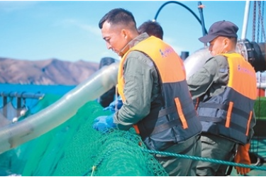 新疆：“水产大省”养成记4