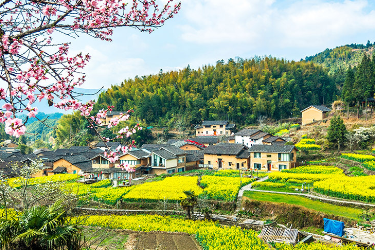 <em>乡村</em>美颜 调“面子”更要调“里子”——农村人居环境整治<em>的</em>“惑”与“解”