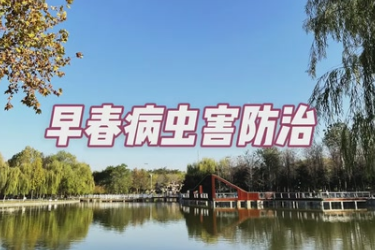 园林植物<em>早春</em>病虫害防治