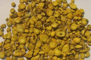 <em>中药</em>黄芩